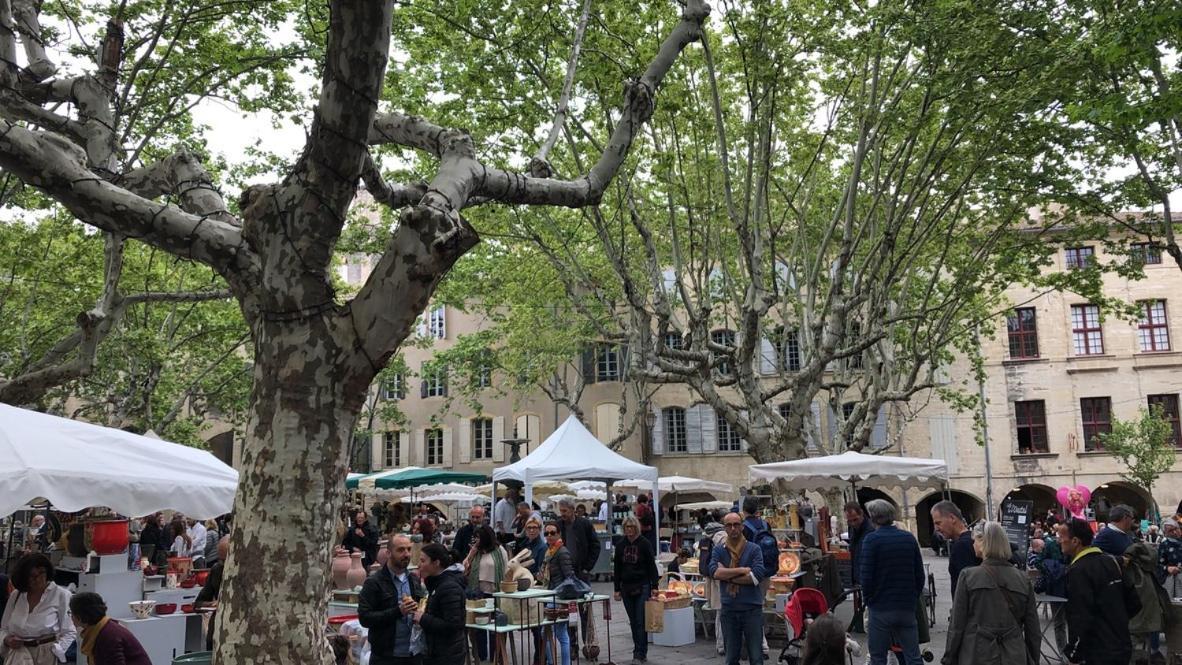 Uzes A Pied, Appartement Dans Cadre D'Exception Eksteriør bilde